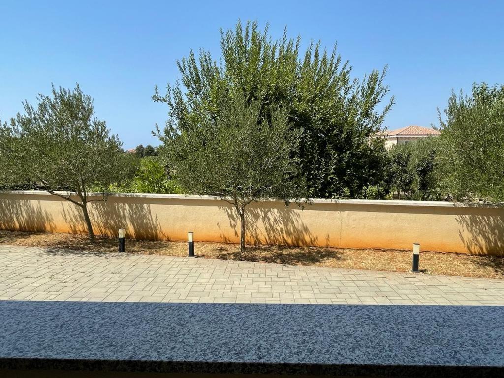 Apartman Dorotea Zaton  Exterior foto